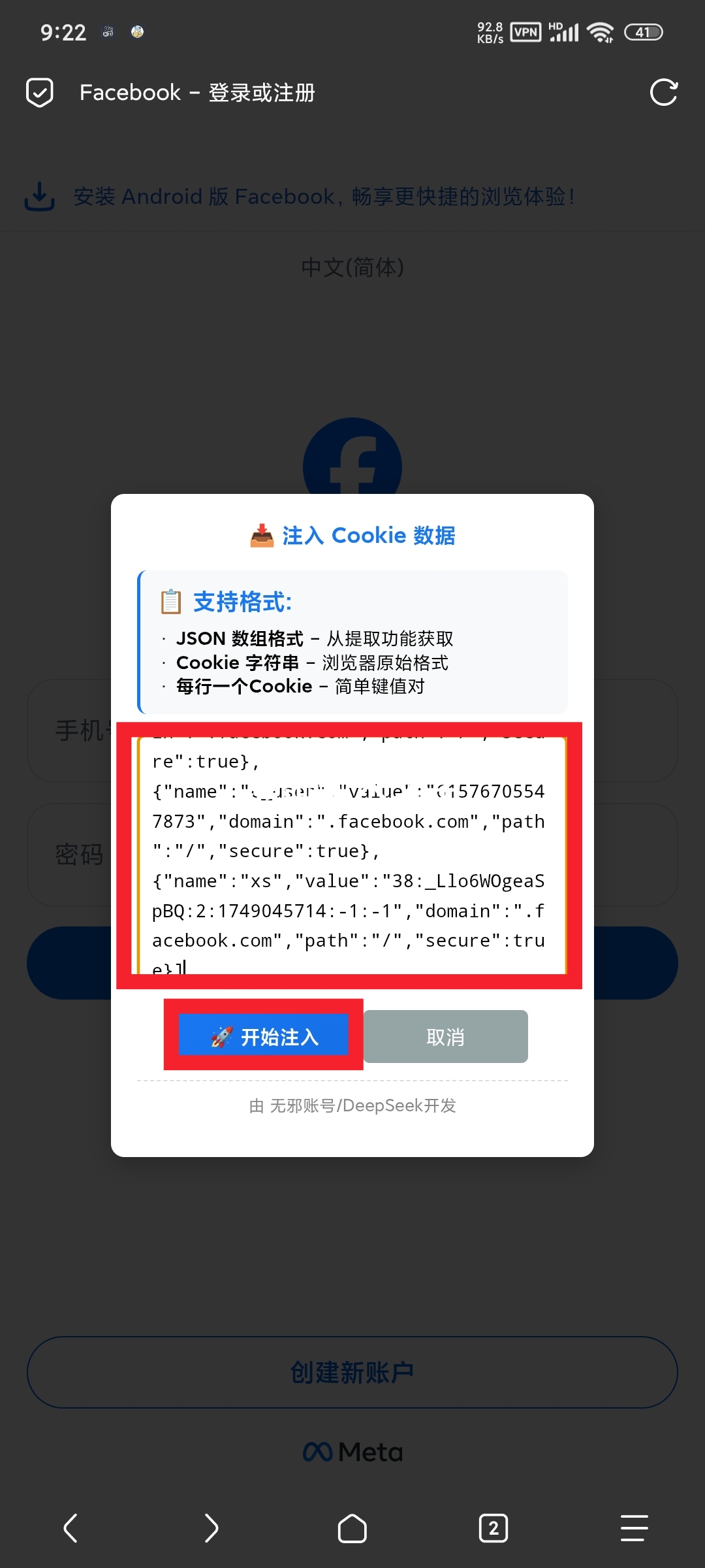 输入Cookie内容界面